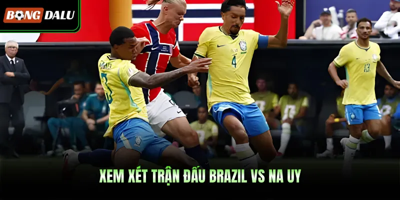 Xem xét trận đấu Brazil VS Na Uy